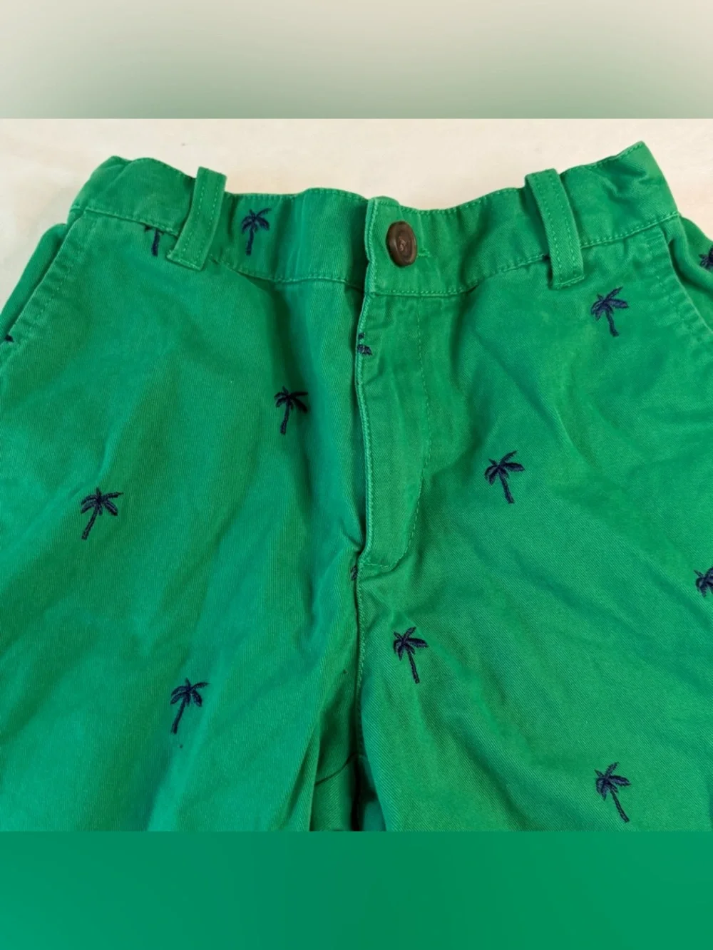 Hanna Andersson Boys Shorts Size 140 (9-10) Green Palm Tree‎ Embroidered Cotton